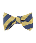 Navy & Gold Stripe Self-Tie Bow Tie