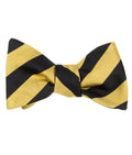 Black & Gold Stripe Self-Tie Bow Tie