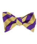 Purple & Gold Stripe Self-Tie Bow Tie