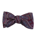 Burgundy Blue Medallion Paisley Self-Tie Bow Tie